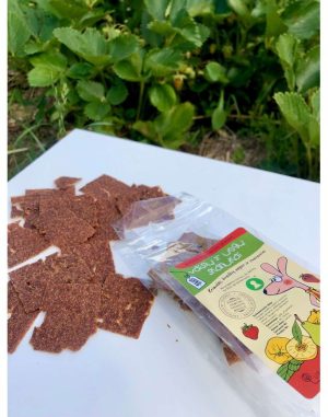 braskinis_skanukas-625x794_0