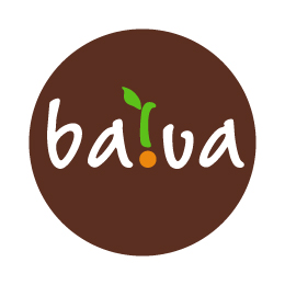 Baiva_260x260