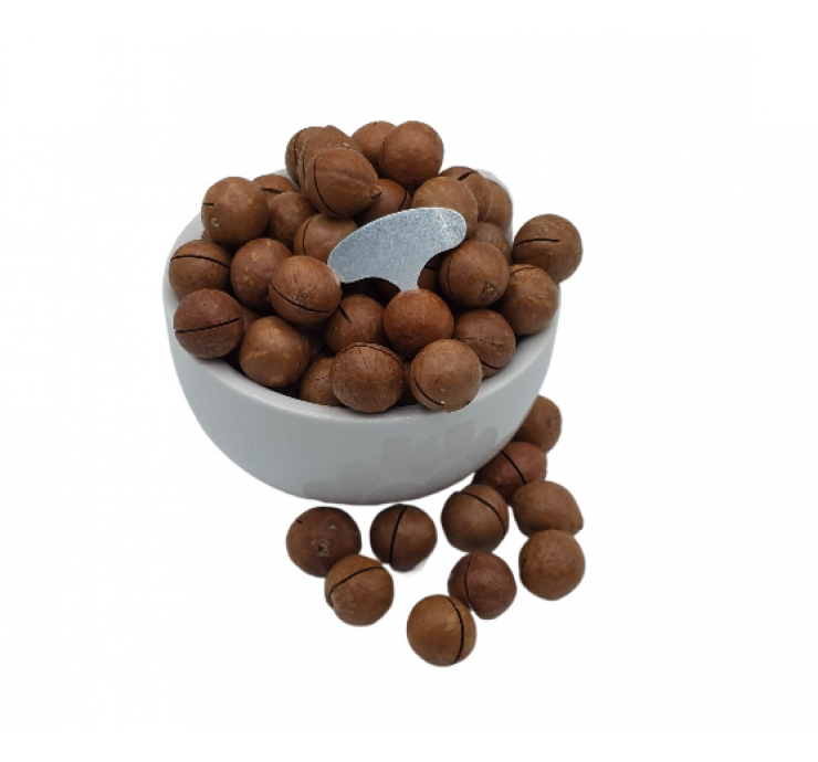 Makadamijų riešutai su kevalu (kepinti, vanilės skonio), 500g